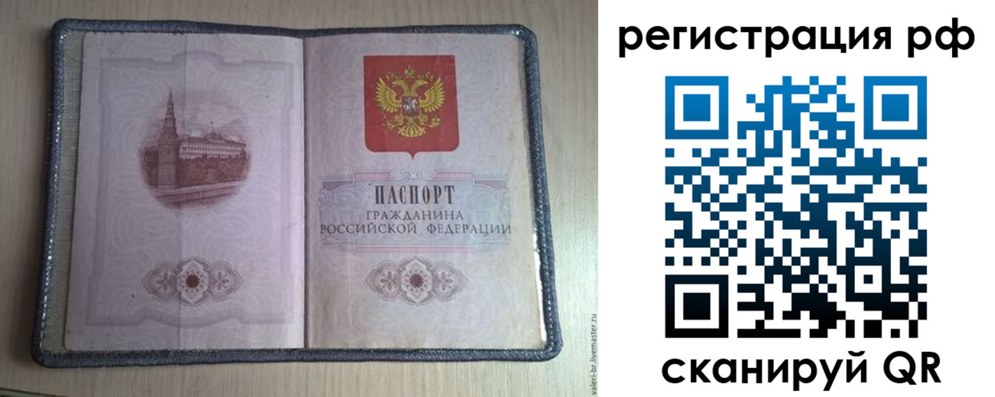 прописка поиск в Дмитрове